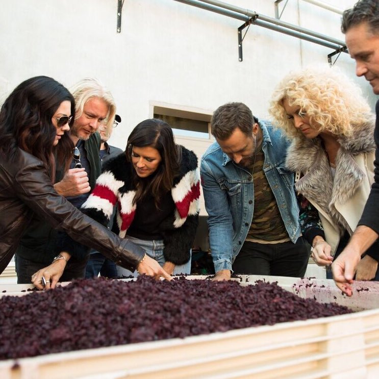littlebigtown's tweet photo. Looking for that perfect grape… #harvest2017 #4cellars
https://t.co/kLZMRZMYjH https://t.co/BtpcbCtgEQ