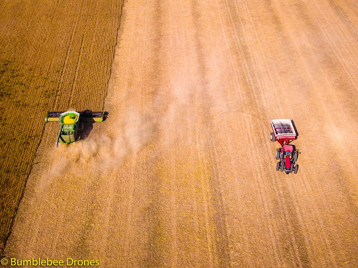 bumblebeedrone1's tweet photo. Fall Harvest in Seymour, Indiana. #thegreatmidwest #bumblebeedrones https://t.co/uStFVAmcF2