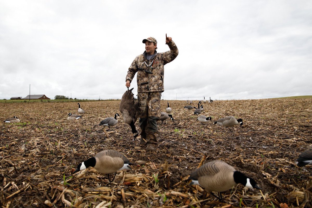 When they do it just right!