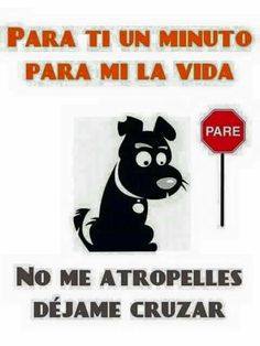 PoliciaEcuador's tweet photo. ¡NO SEAS MALITO!, NO LES ATROPELLES, permíteles pasar. #RespetemosALosAnimales https://t.co/q5bFULe4RD