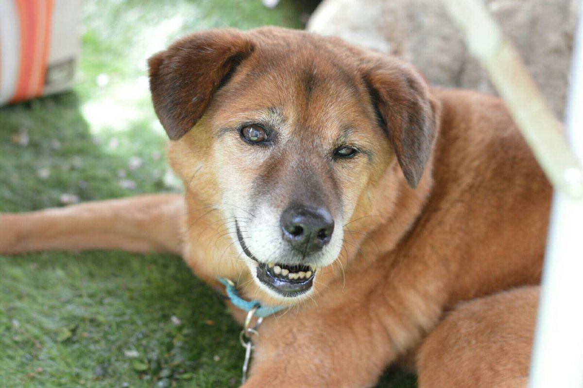 coco.。 tweet media