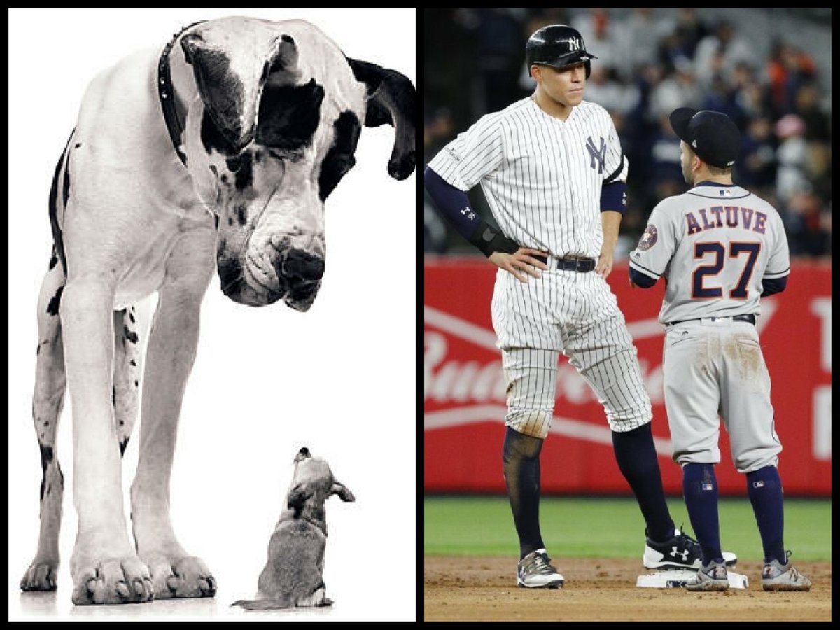 Fair comparison #aaronjudge #Yankees