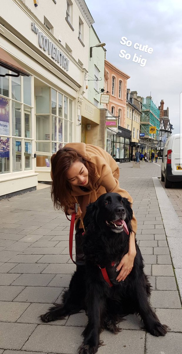 [Cris' Story] Repost #IGStory #crishorwang | 17.10.17 / 4