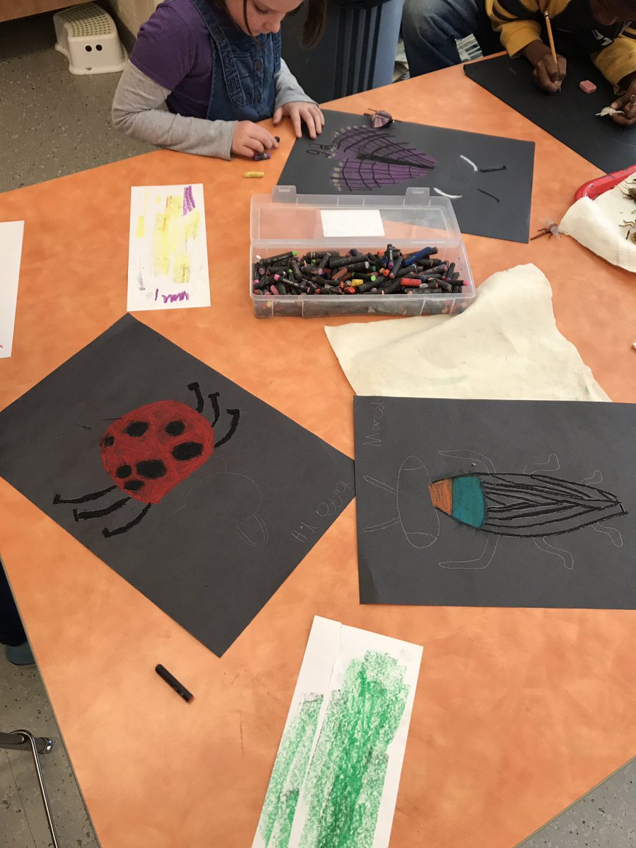 Drawing bugs from observation with 2nd grade <a href="/Team_MCES/">Mays Chapel ES</a> @visualartsbcps