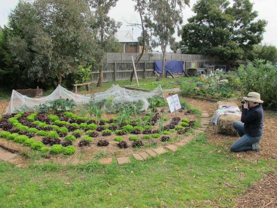 LionsAustralia's tweet photo. Lions grant provides new shelter for community garden in Lara, VIC https://t.co/ndIrozSpWx #Lions100 #Community100 https://t.co/2hGjQ1fiRc