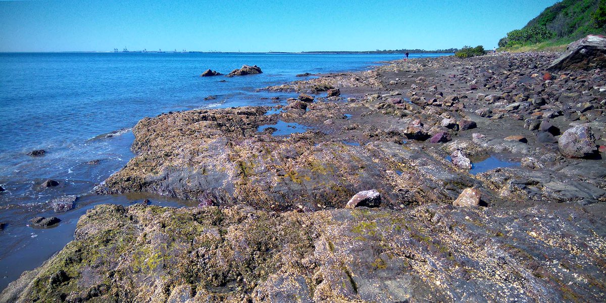 QldEnvironment's tweet photo. Qld Intertidal & Subtidal Ecosystem Classification Scheme- understand the nature & extent of tidal systems #QLDCOAST https://t.co/lmFGmalBwh https://t.co/GmT4t9GWmN