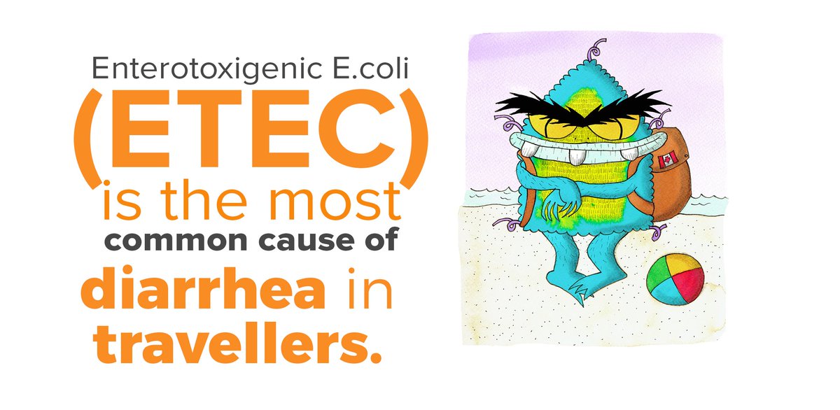 Listen2Lena's tweet photo. Make sure food is fully cooked and kept hot and perishables kept cool. When it doubt, *DON'T* eat it! #HealthyTravels https://t.co/EBN2ftr06c