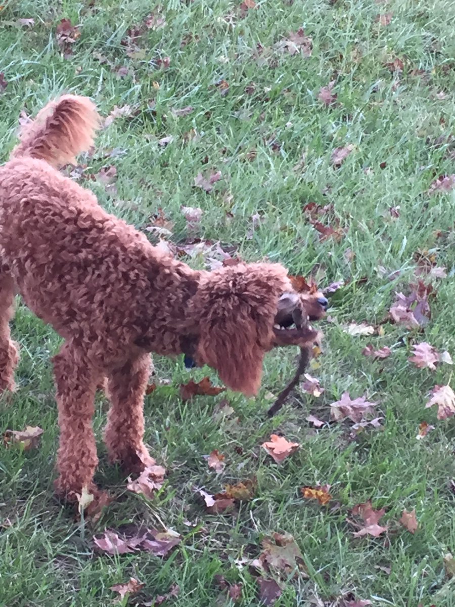 Angela Buckley tweet media