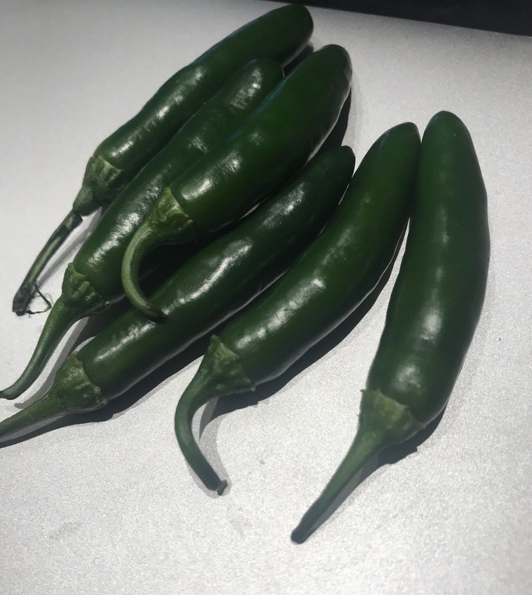 KitchenCurry's tweet photo. Freshly grown  #chilies in my #backyard https://t.co/dupkZnJHdZ