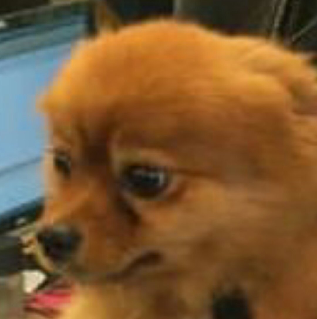 jorgess_97's tweet photo. Mi cara cuando me doy cuenta que tengo 100 trabajos por hacer y 20 exámenes para los cuáles estudiar https://t.co/qZCScZENIg