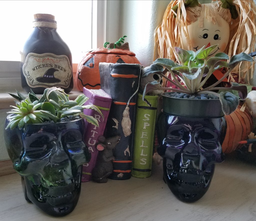 Up Next… How to Get a Head in Houseplants abundantlifeak.wordpress.com/2017/10/17/up-…