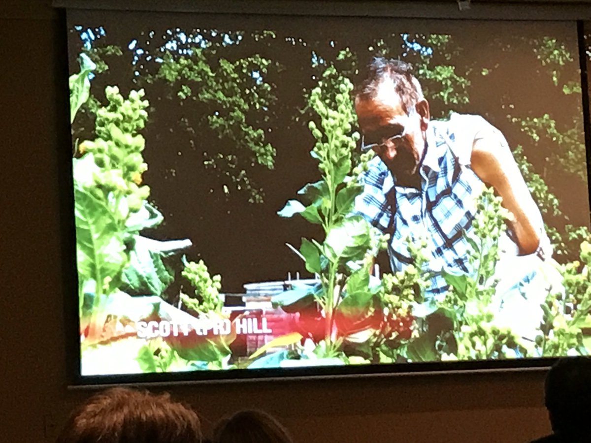 IndHealthCon's tweet photo. Congratulations to Scottie (P. R) Hill our 2017 Wisdom Keeper Award #Indigenous #Health #IndHealthCon #OctoberMoonGala https://t.co/Zxc3Kt6jZ3