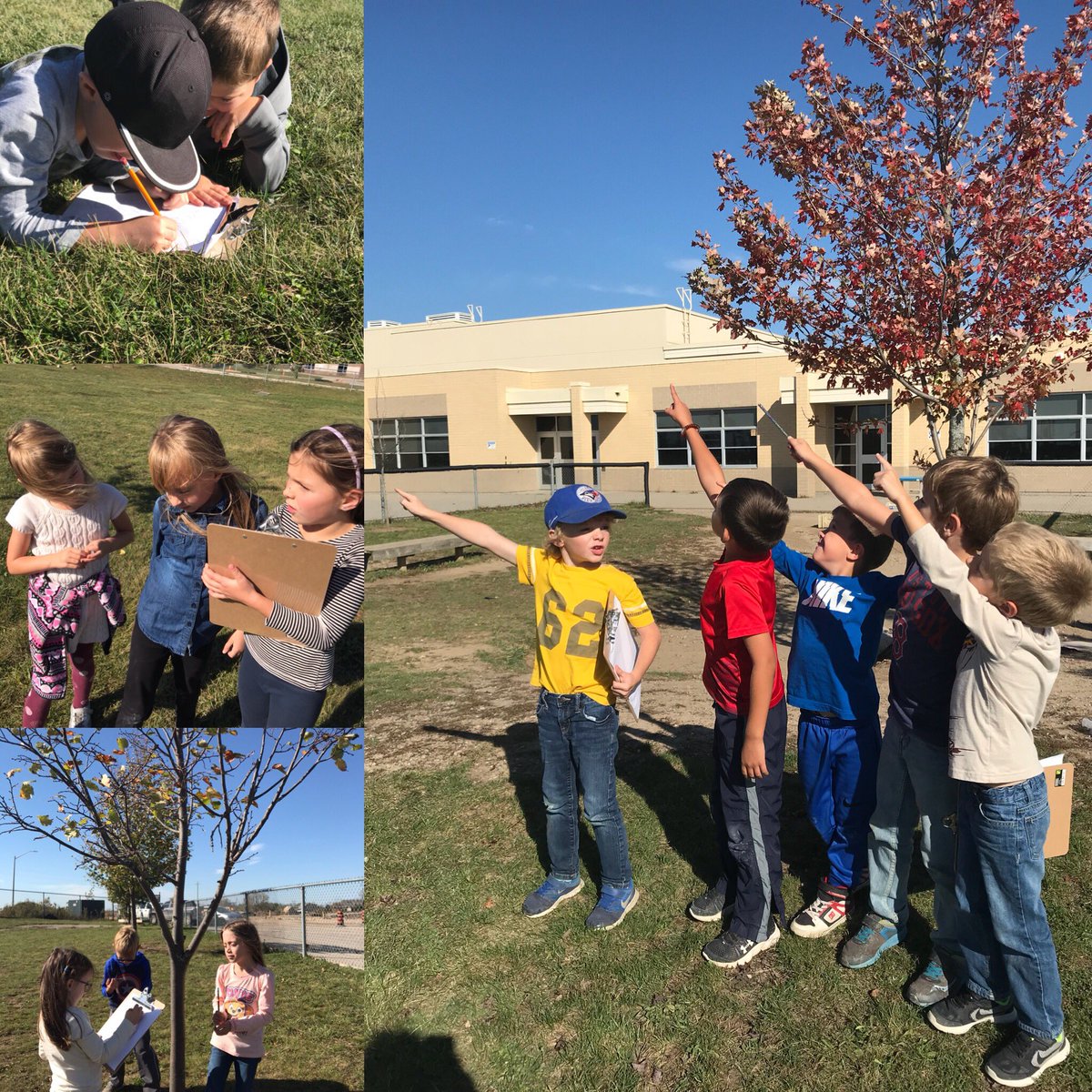 Experiencing fall with our 5 senses. #livingthings #outdoored #leaves #birds #temperature #seasonalchanges