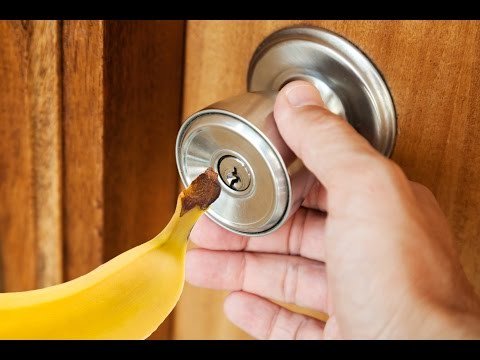 Queryanswers's tweet photo. How To Open a Locked Door With a Banana? read at https://t.co/L5uL3TIae4 https://t.co/gKxdAqJjQj