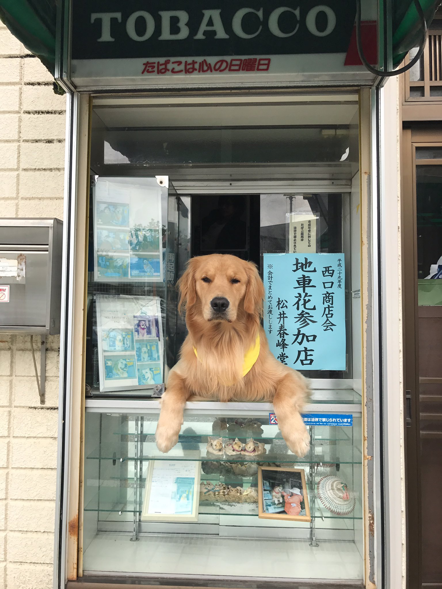 オリジナル 犬 タバコ すべての動物の絵 オリジナル 犬 タバコ すべての動物の絵
