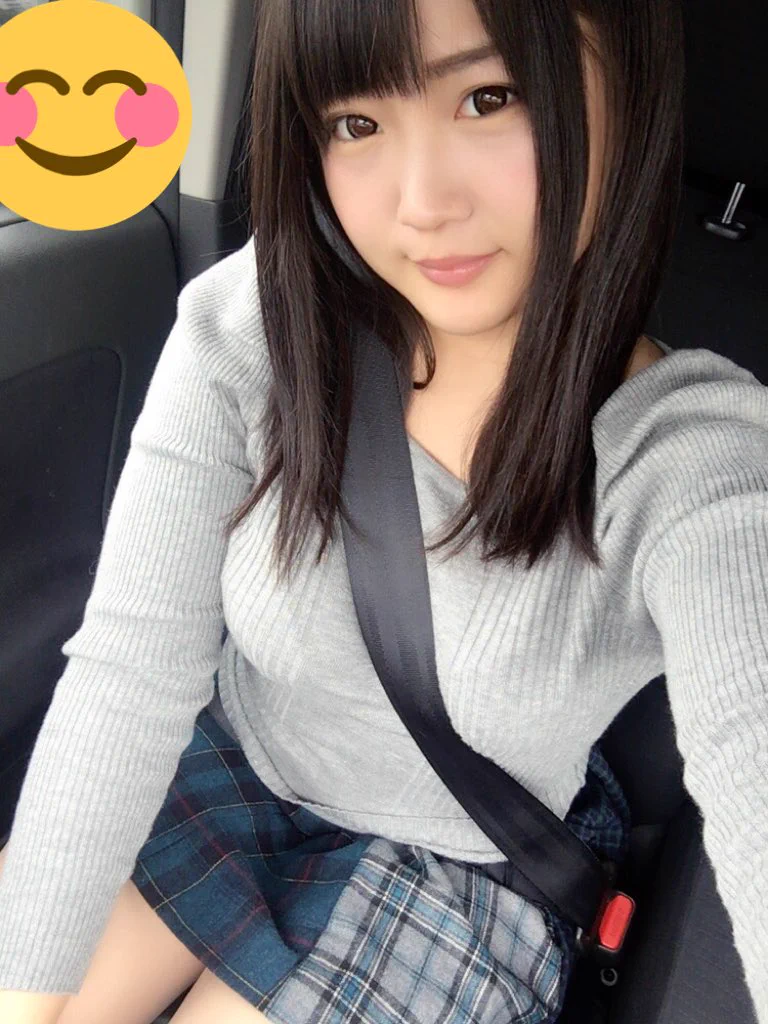 パイスラ シート ベルト