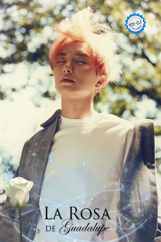 NotiELF's tweet photo. =D #Play ❤
Me: Por favor virgencita, que SJ haga comeback pronto! ❤.... Y esta rosa blanca? 😮
#SUPERJUNIOR #슈퍼주니어 #슈퍼주니어PLAY ❤ #ELFwithSJ https://t.co/FynOxqYV5W
