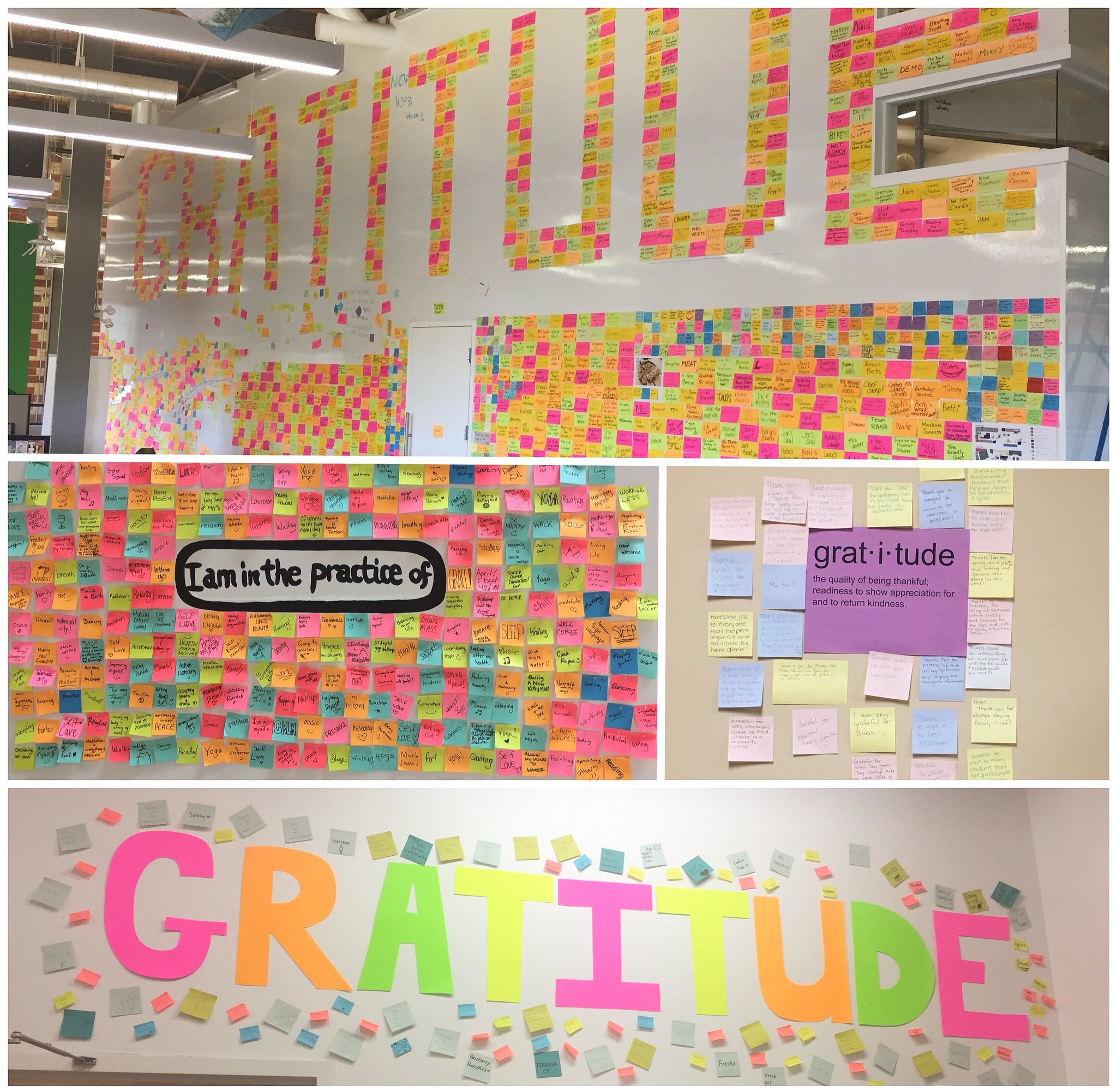 Dave Whiteside on Twitter "Our plasticity gratitude wall has started