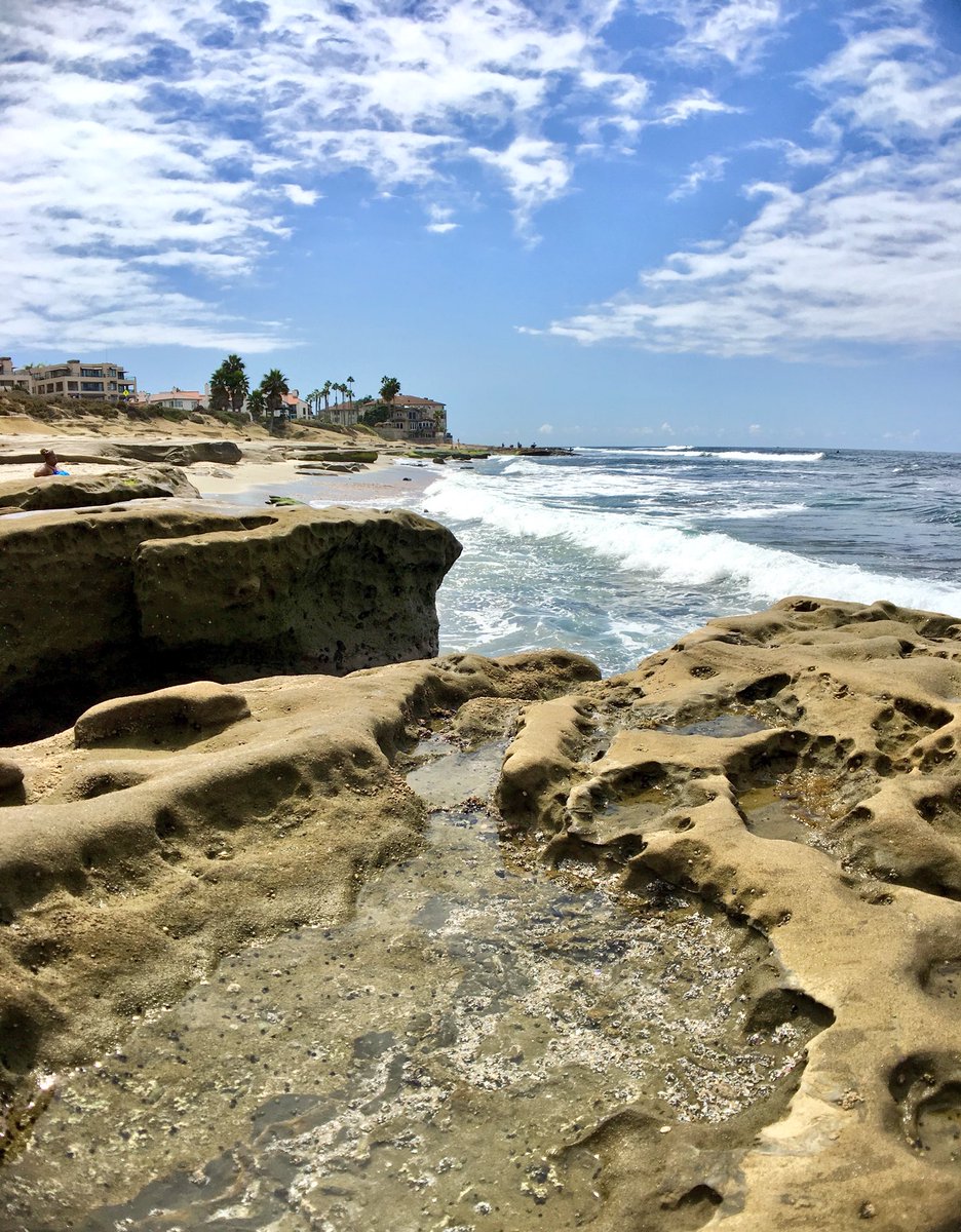 ahatter21's tweet photo. Took this a couple weeks ago and forgot 2 share! #hospitalpoint #lajolla #socal #fallinsocal #motivation #itskindanice https://t.co/kYpKYoHe52