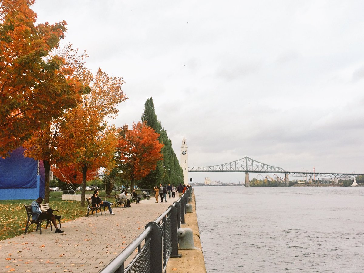 ashnday's tweet photo. Fall in Montréal is a must (especially for New Yorkers, it’s so close). Thanks to #GFTC17 for the excuse to visit https://t.co/FfTlddjDJf