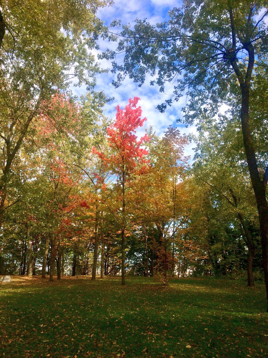 ashnday's tweet photo. Fall in Montréal is a must (especially for New Yorkers, it’s so close). Thanks to #GFTC17 for the excuse to visit https://t.co/FfTlddjDJf