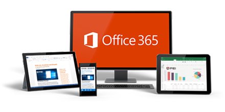 MSOffice_Tp tweet picture