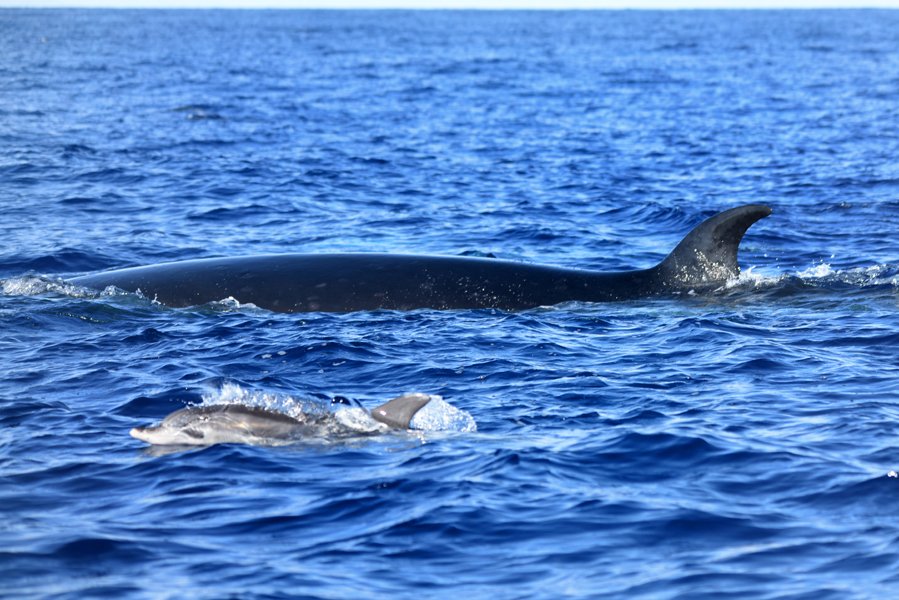 Moth Clark tweet media