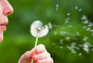 MrVitamins's tweet photo. Top 7 Spring #Allergy Busters. https://t.co/kJNFJGnsMd #allergyrelief https://t.co/Mo9JZJB16L