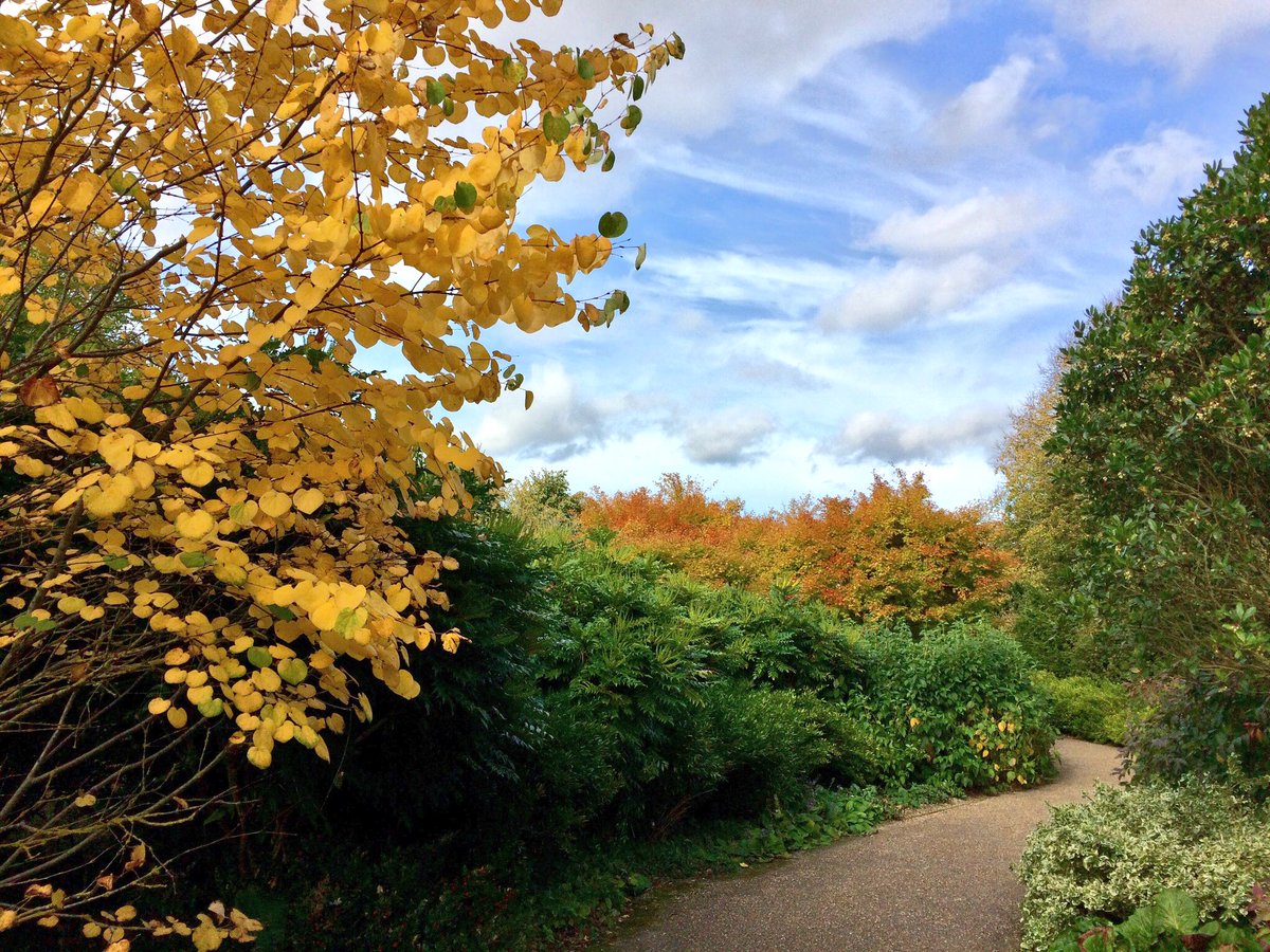 AngleseyAbbeyNT's tweet image. The Winter Garden is full of colour and fragrance &amp;amp; is an all abilities short walk starting from the visitor centre #garden #Cambridge