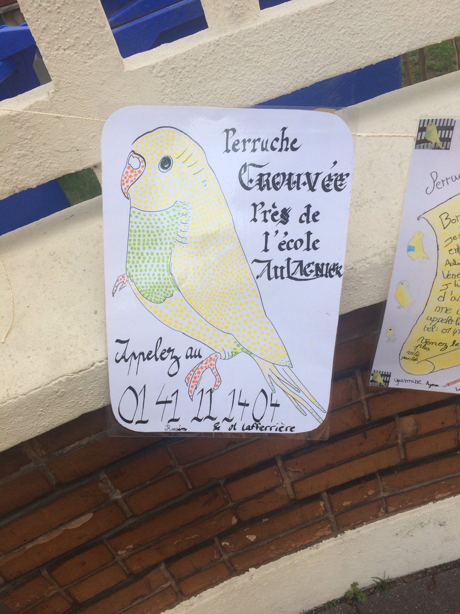 b1jam's tweet photo. #perruche trouvée à #Aulagnier à #Asnières À faire tourner. https://t.co/4HSAnBIa4B