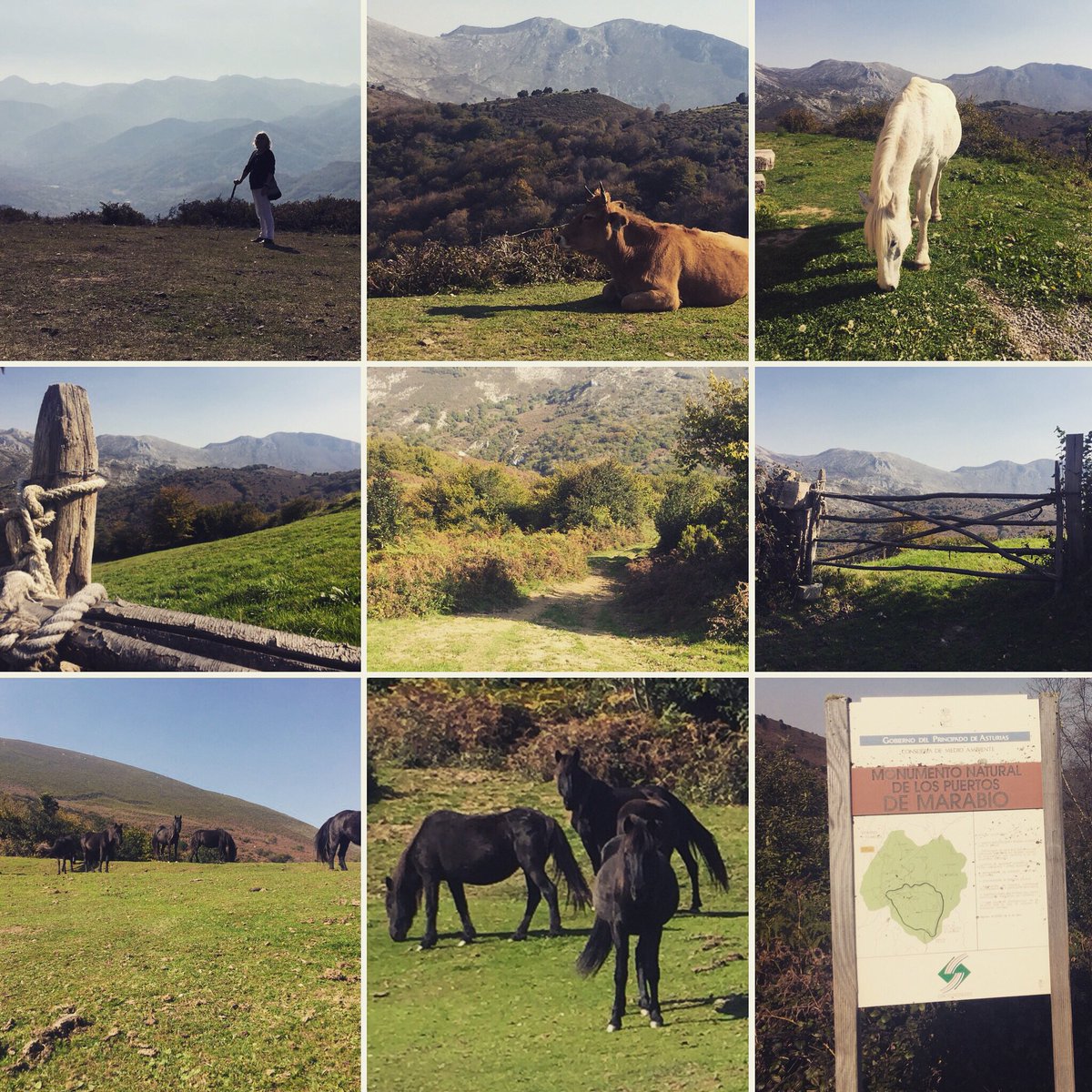 Puertos de Marabio #Teverga #vallesdeloso #monumentonatural  #naturaleza #paisajes #Asturias #ParaísoNatural tevergaturismo.com/folletos/MARAB…