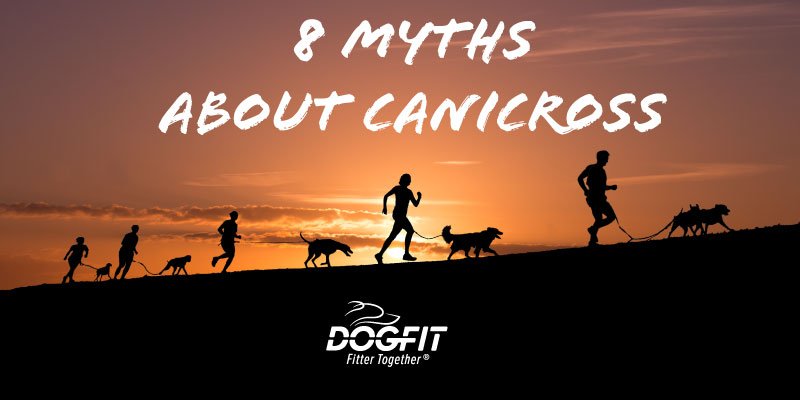dogfituk's tweet photo. 8 Common Canicross Myths Dispelled https://t.co/SCZ6OsOXgZ   #runningwithyourdog #fittertogether #canicross https://t.co/YL0Gnwydb2