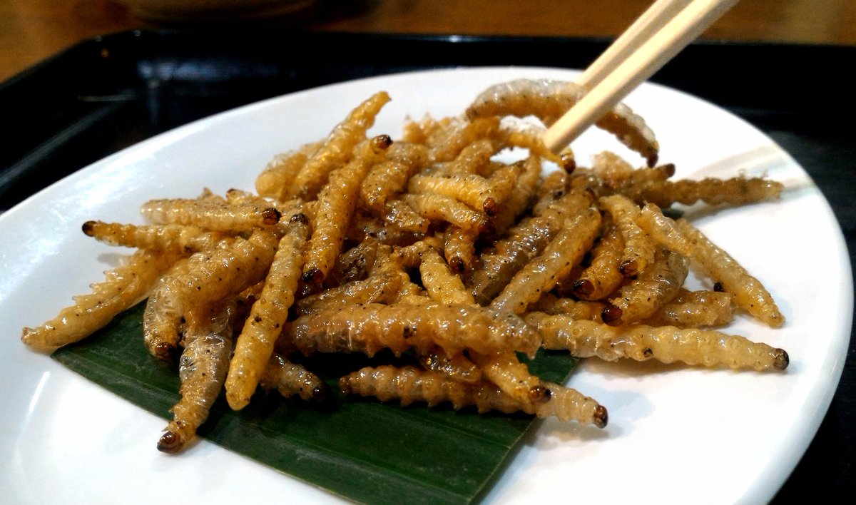 ロロ 竹虫美味しそうな仕上がり セミも翅を取って食べ易く コオロギは そのまんまですねww ロロ 竹虫美味しそうな仕上がり セミも翅を取って食べ易く コオロギは そのまんまですねww