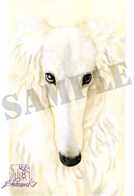 ボルゾイのtwitterイラスト検索結果