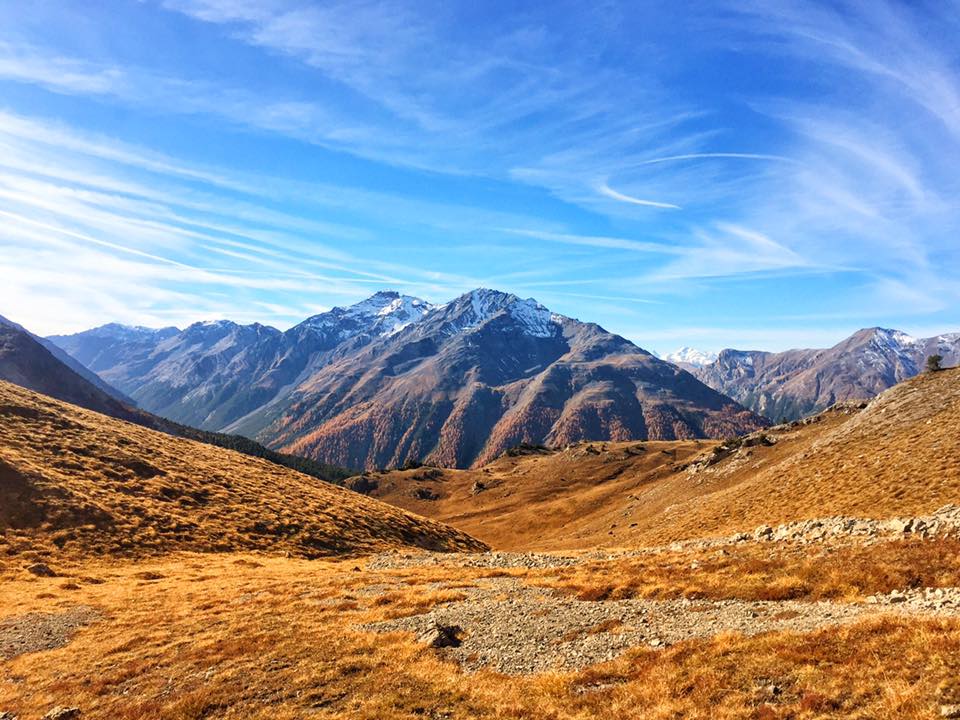 peakdate tweet picture