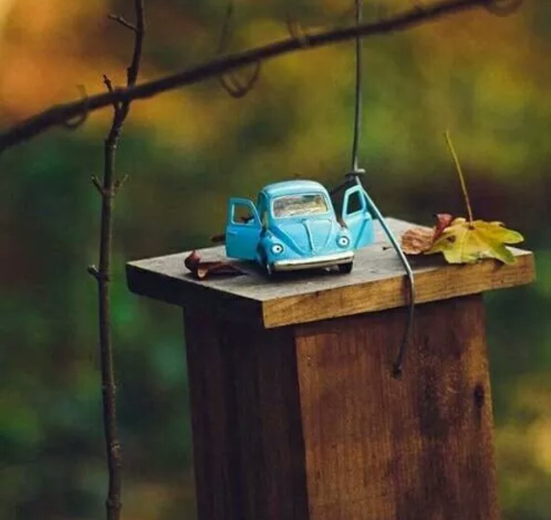 Sevgi dolu yüreklerinize...
GÜNAYDIN...💓