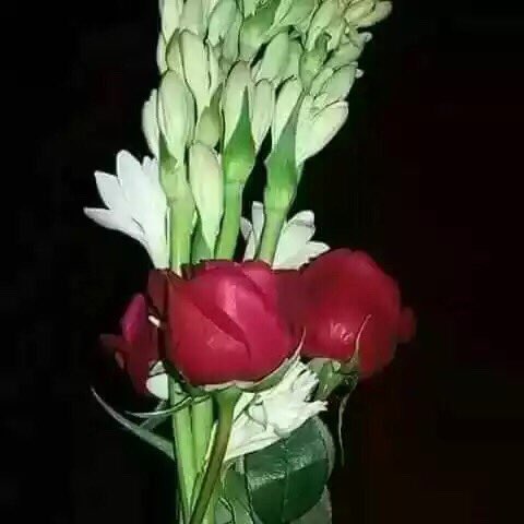 mohammed_sumail's tweet photo. https://t.co/yUUhOE9ExG