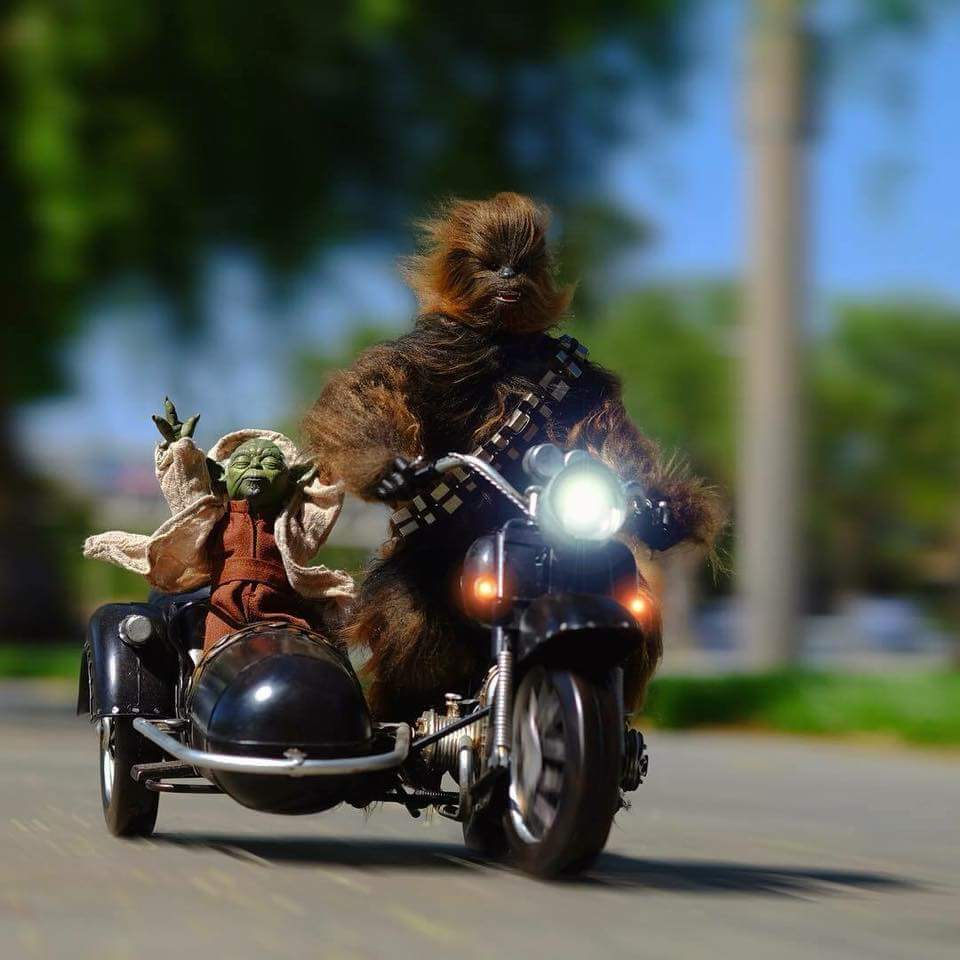 SmMarwood's tweet photo. #wookieewednesday  #wednesdayitis Born to be wild!

@Dante_Fairchild @NotDrSheldonC @EByzio @diego_sieiro @saugep_sarah @berskisolo https://t.co/itO02sFFLd