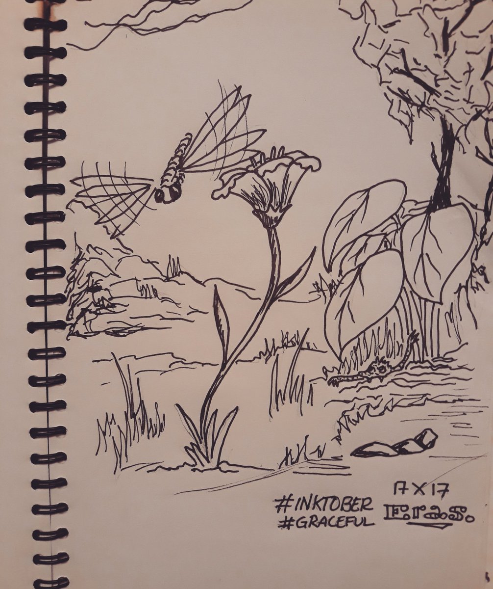 kenderi's tweet photo. "Caballito del Diablo" #Inktober #graceful #eraskender 17*X*17 https://t.co/dnlkWimEGA