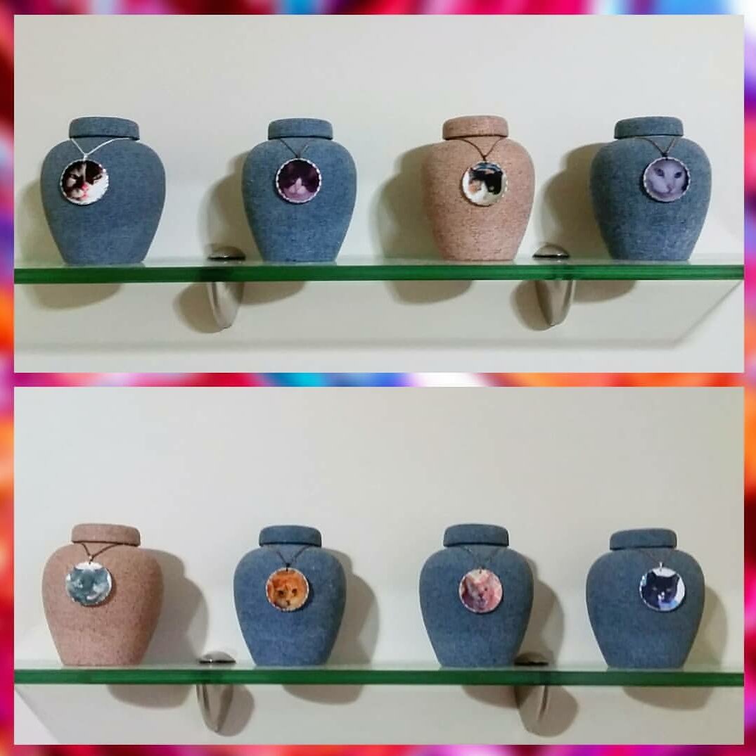 catsandcritters's tweet photo. Had to put up bigger shelves to hold all the urns of our angel kitties. I miss these babies so much 💔

#angelkitties #rainbowbridge #RIP https://t.co/q7CPDZYmMB