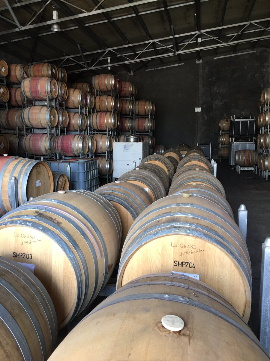 snakeandherring's tweet photo. Yep it's Chardonnay time.... https://t.co/yXe1BeXhSX