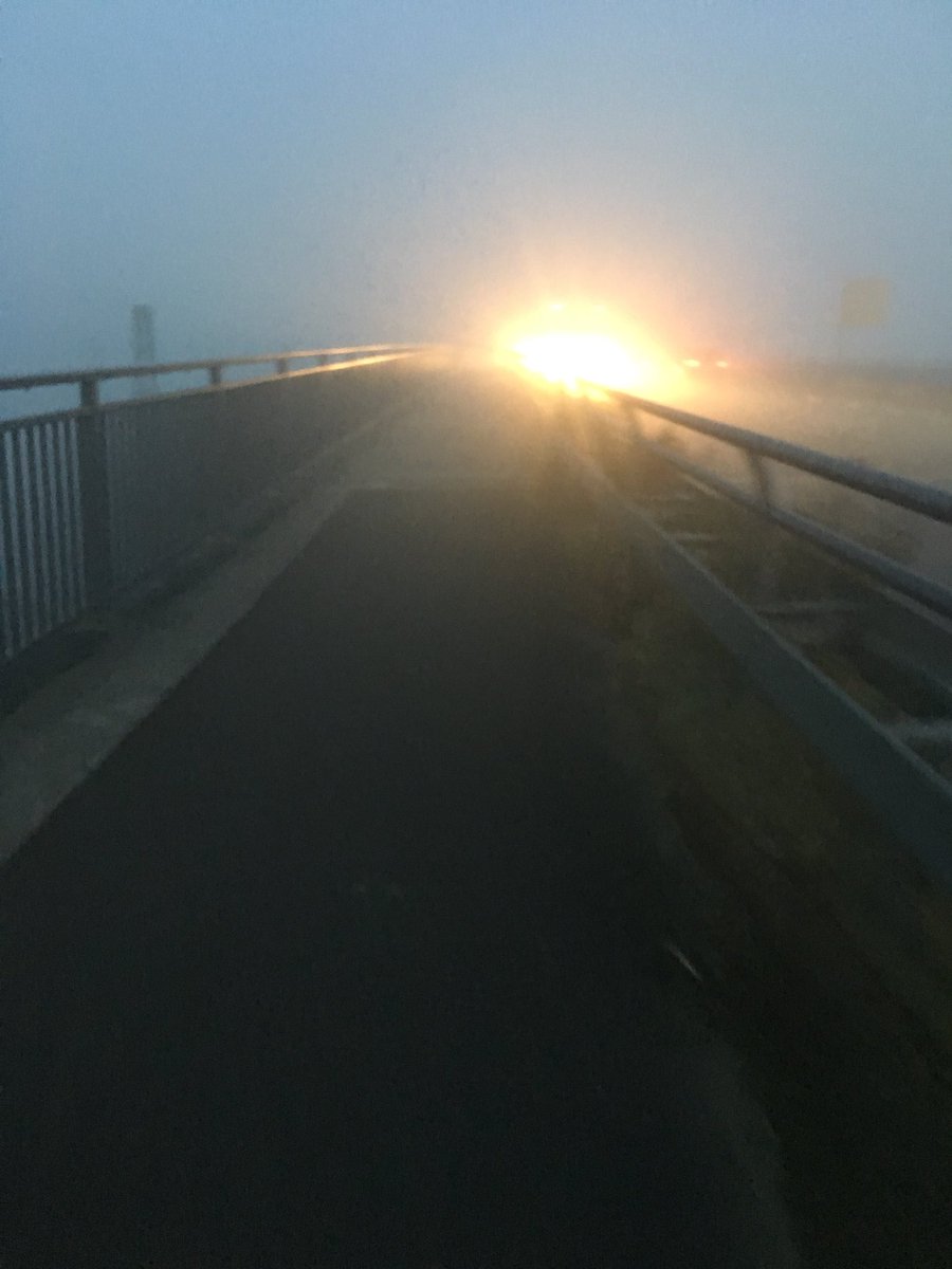 DerOkami's tweet photo. Guten Morgen! Auf zur Arbeit. #bisschennebelig https://t.co/9oovZ8rfQb