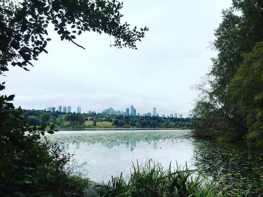 Vantage point #nature #lake #city ift.tt/2gNamTa