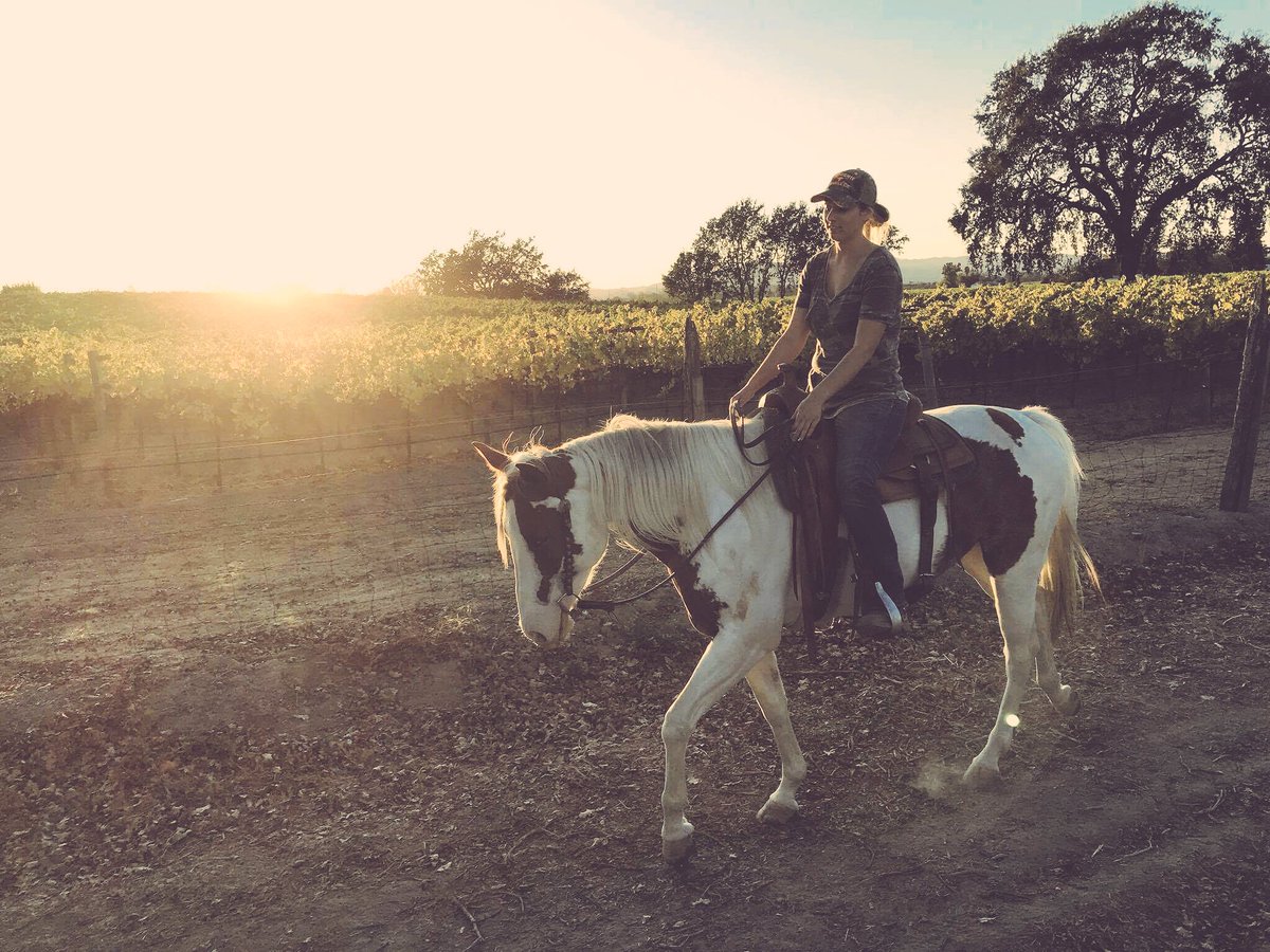 equinebabe's tweet photo. she looks gross here, but i still adore her.. (she’s still growing) such an awk body right now https://t.co/ji4bdG9g3a
