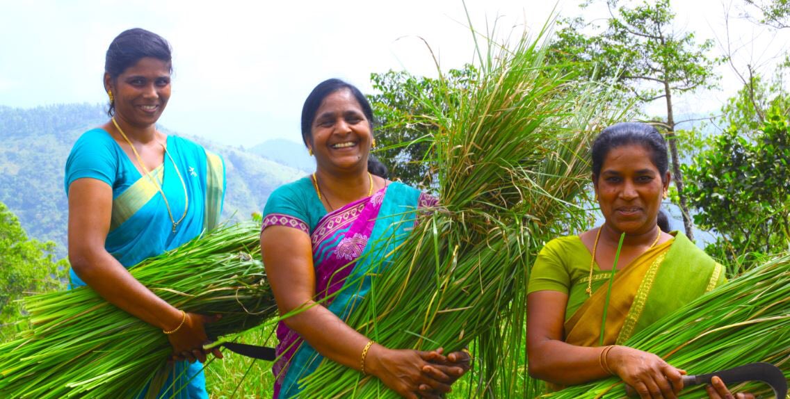 It is estimated that women-owned entities represent over 30% of registered businesses worldwide. 🌍 #womenentrepreneurs #womencrushwednesday