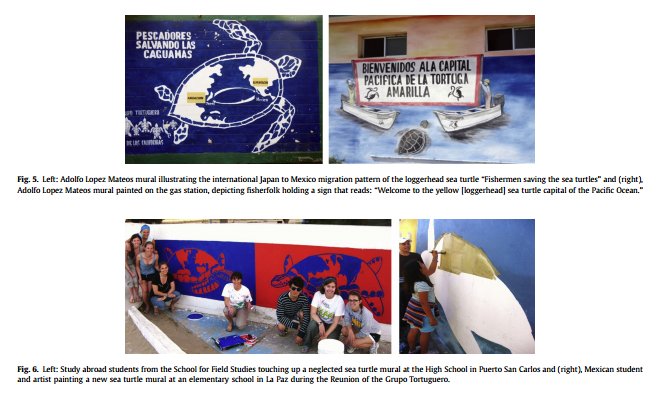 theverbalturtle's tweet photo. Raising #awareness through #art : #Seaturtle murals as a tool to shape pro-#environmental behaviors, https://t.co/F0uOUUa5yF, https://t.co/jiUOhb3SWp