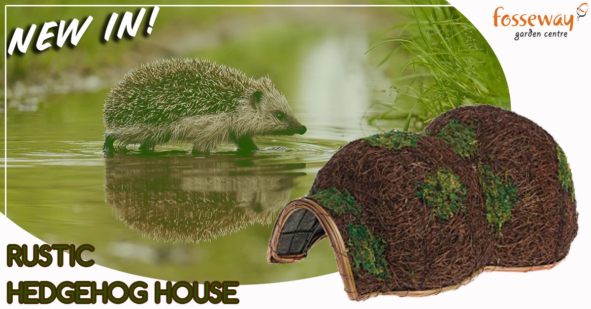 Look at this fantastic NEW rustic hedgehog house JUST IN! At £22.99, We love it!