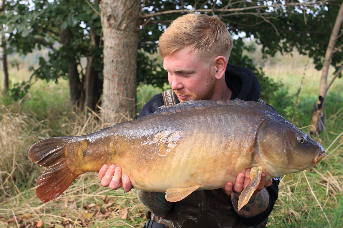 Dale turner has been using a combination of Hybrid and the new Link test bait during his sessions and it looks like it’s paying off a treat!