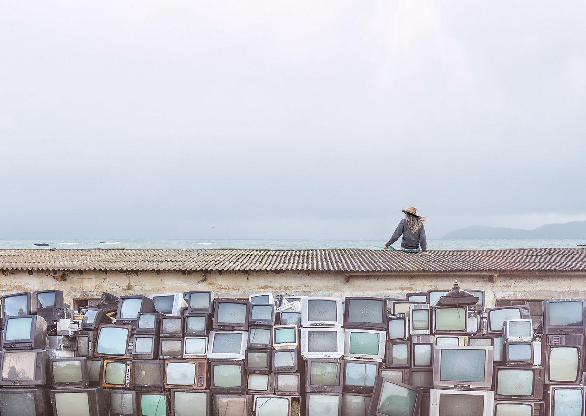 Surfcity Festival tweet media