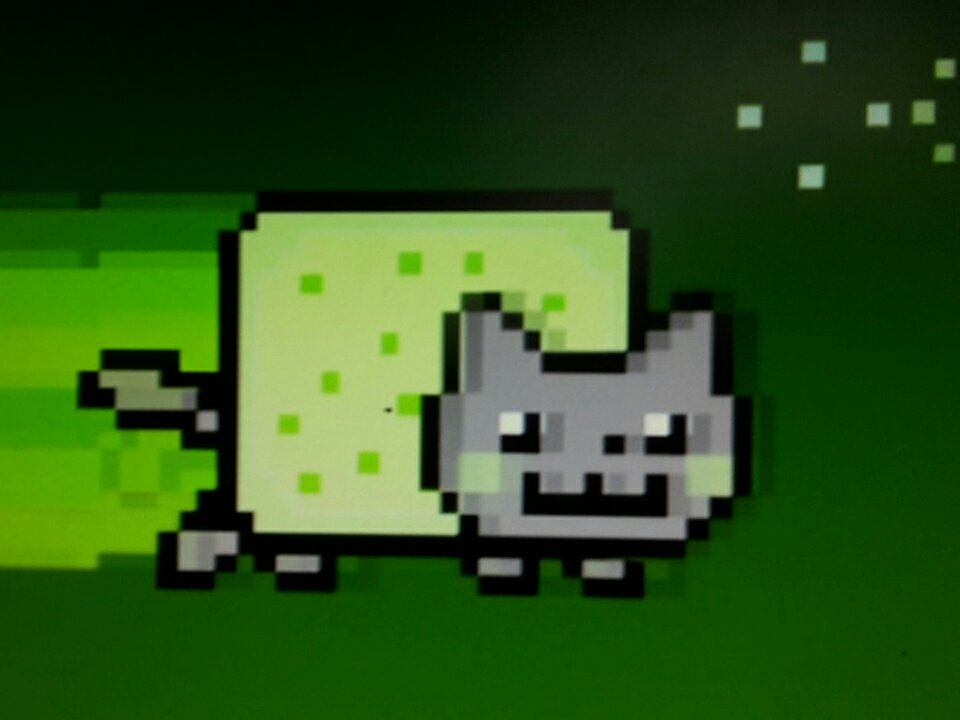 geeuuss's tweet image. Мое занятие на день